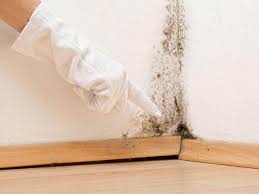 Best Residential Mold Inspection & Testing in Front Royal, VA